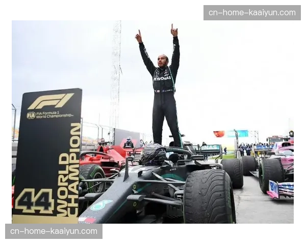 能量管理成车手新课题 汉密尔顿直言规则复杂得离谱